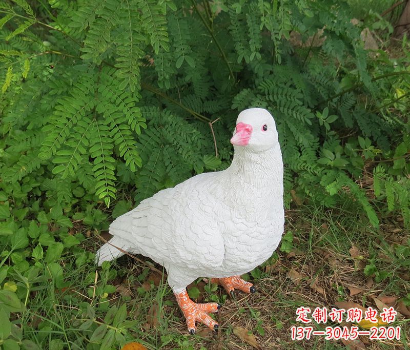 酒泉潍坊青年路和平鸽灰姑娘雕塑